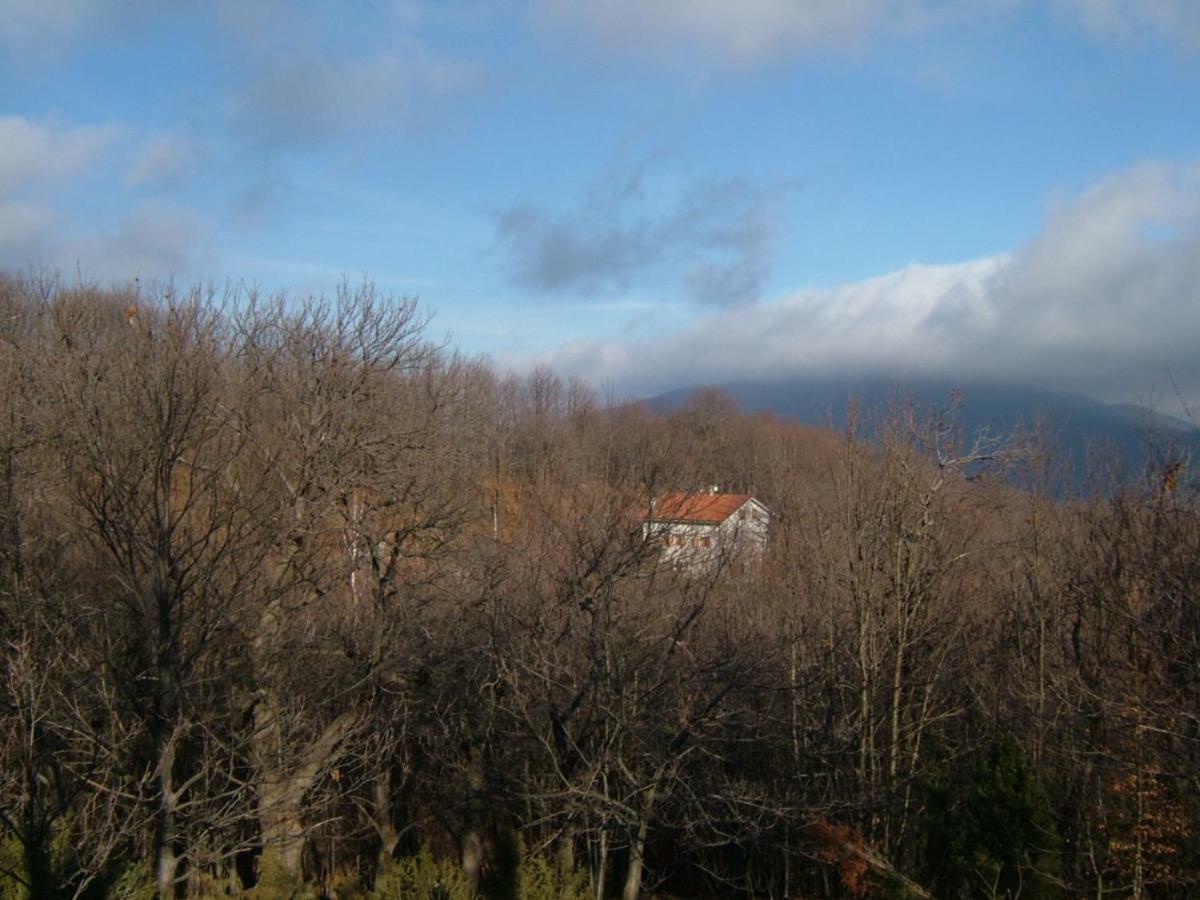 Villa Casa Nel Bosco Osiglia Exterior foto